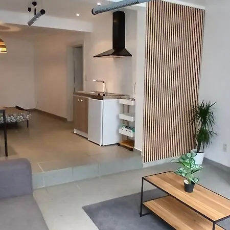Dans Le Centre De Lägenhet *